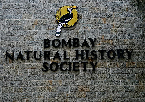 1993: Bombay Natural History Society photo exhibition