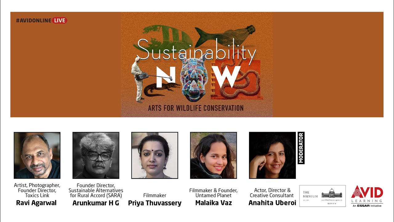 Sustainability NOW: Arts for Wildlife Conservation